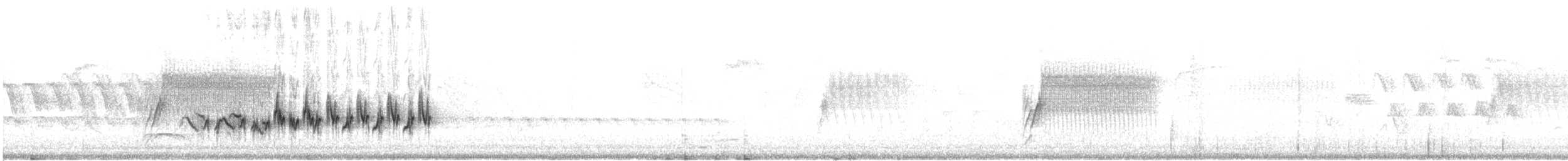Amerika Çütresi (californicus) - ML580346301