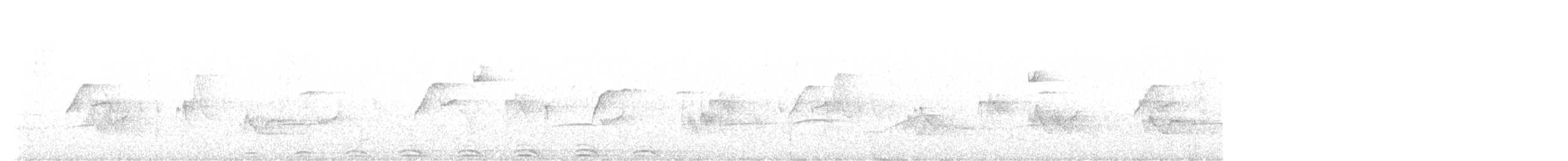 Сова плямиста (підвид lucida) - ML580359851