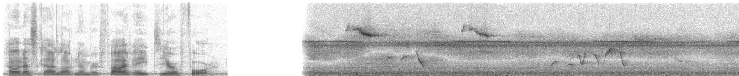 Yellow-throated Fiji Whistler - ML5804