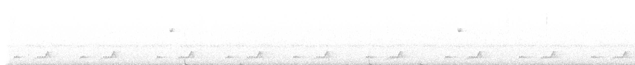 Mexikonachtschwalbe - ML580413861