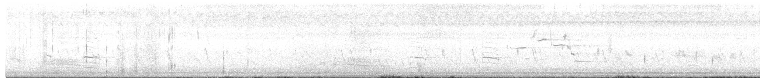 nordkrattvaktel (virginianus gr.) - ML580425661