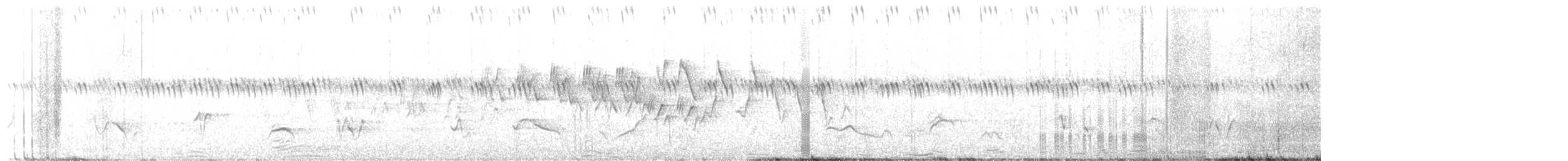 Schwarzkopf-Kernknacker - ML580435671