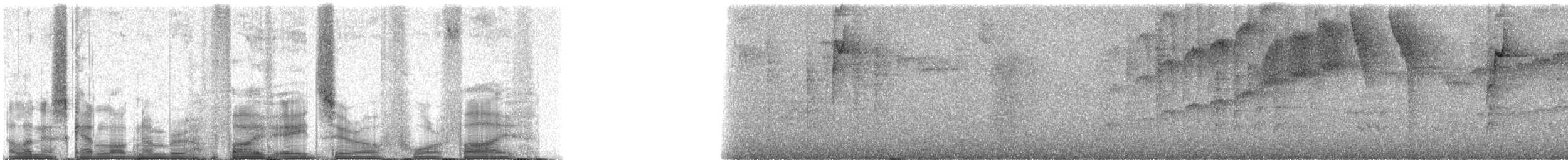 Mor Kuyruklu Ormanperisi - ML58045