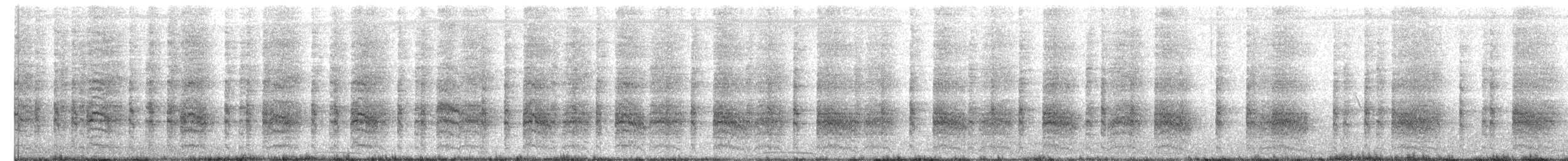 chřástal dlouhozobý (ssp. cypereti) - ML58049621