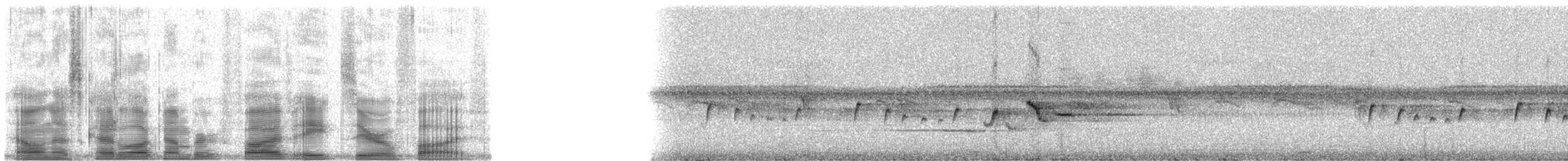 Pacific Robin - ML5805