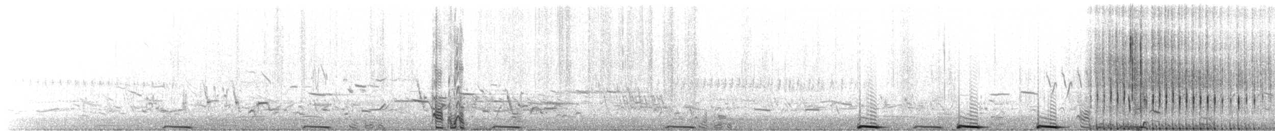 Sharp-tailed Grouse - ML580522521
