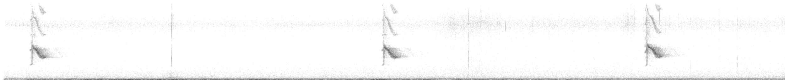 Пестрогорлый соловьиный дрозд - ML580527681