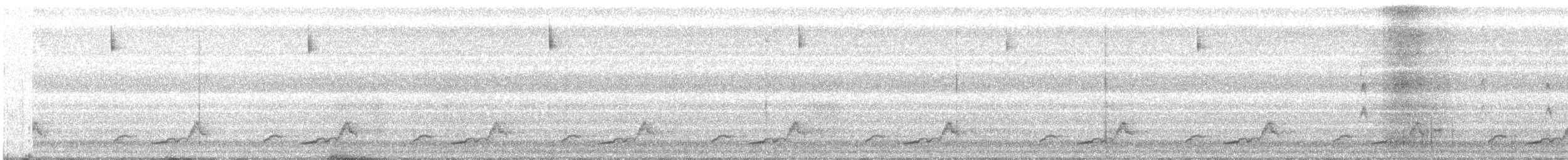 Schwarzkehl-Nachtschwalbe - ML58055851