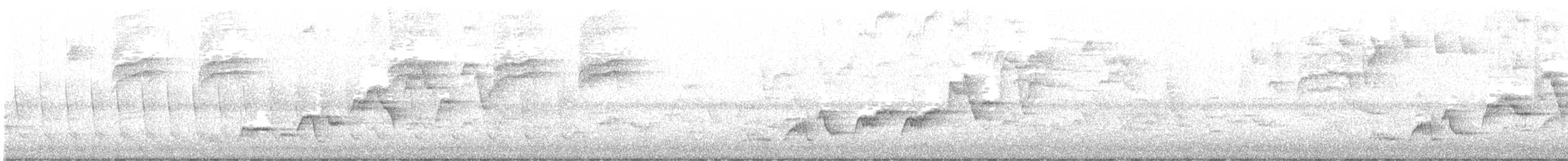 Swainson's Thrush - ML580567031