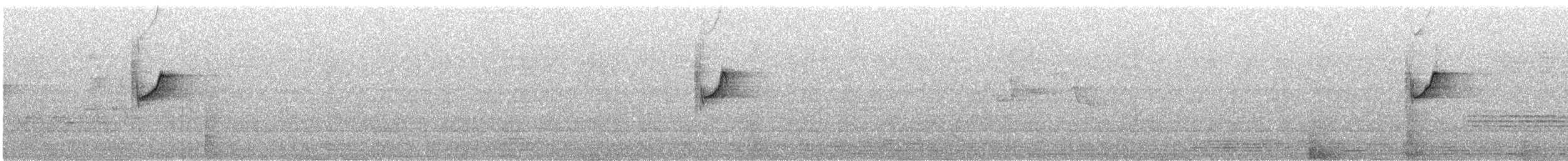 Атласная нектарница - ML580582591