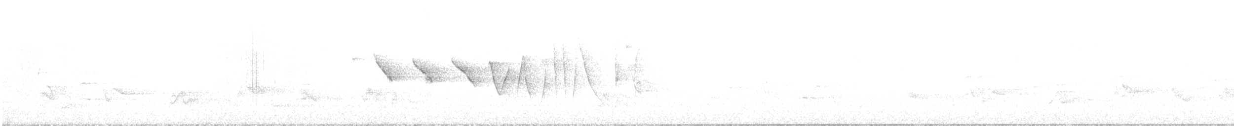 Трясогузковый певун - ML580605911