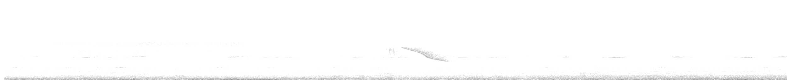 White-tailed Nightjar - ML580634641