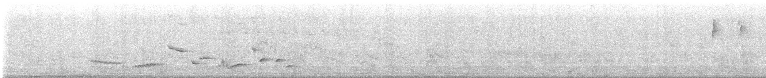Grauzitterdrossel - ML580662071