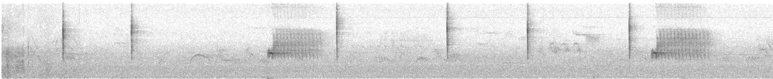 Fleckengrundammer [oregonus-Gruppe] - ML580665161
