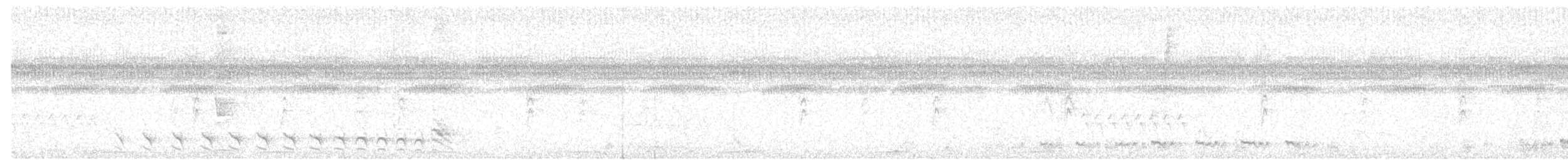 Bindenameisenwürger [doliatus-Gruppe] - ML580717461