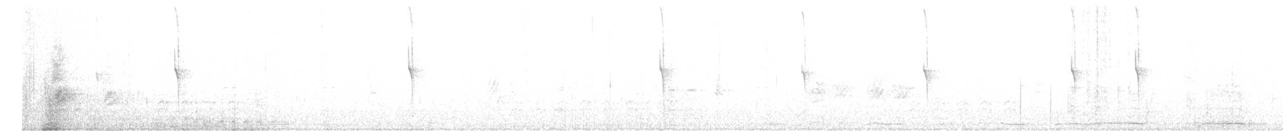 kolibřík skvostný - ML580741911