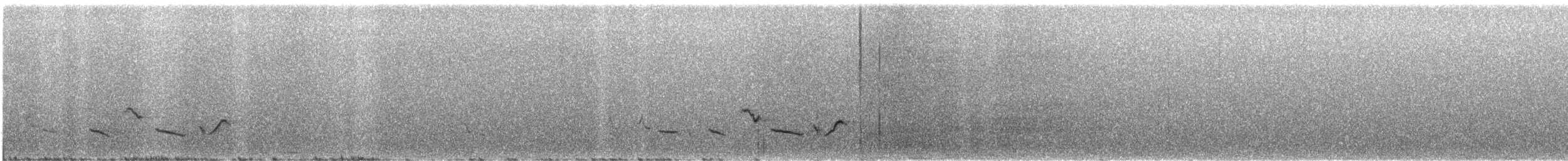 Scott's Oriole - ML580791591