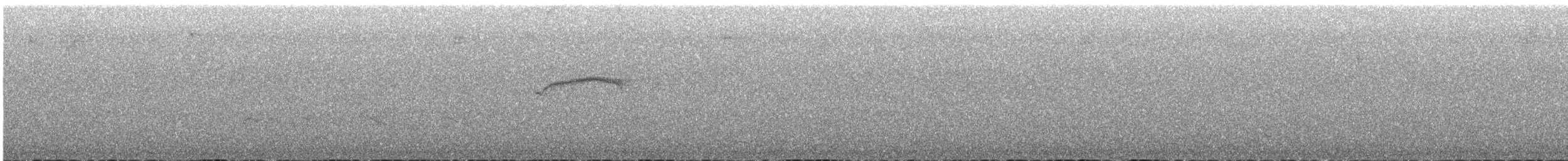 Chestnut-bellied Chat-Tyrant - ML580809131