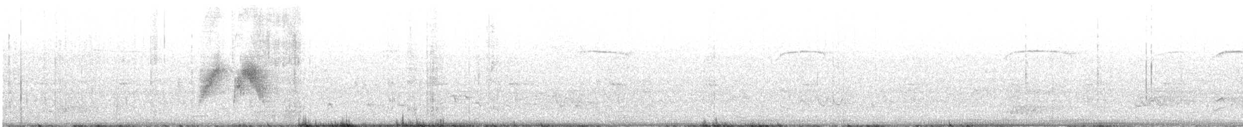 tyranovec vrbový - ML580811311