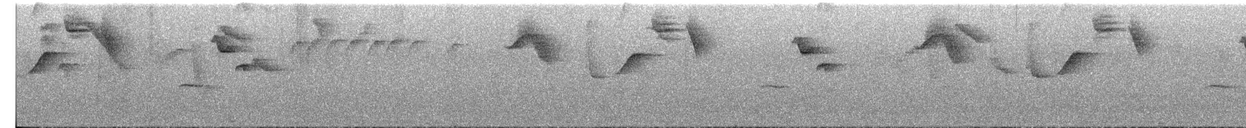 Gray-browed Brushfinch - ML580817821