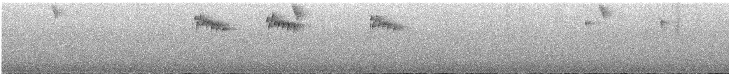 Mountain Wren - ML580818081