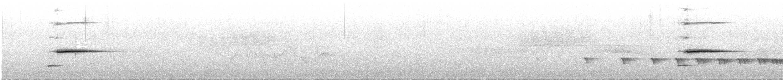 Тауї плямистий - ML580834481
