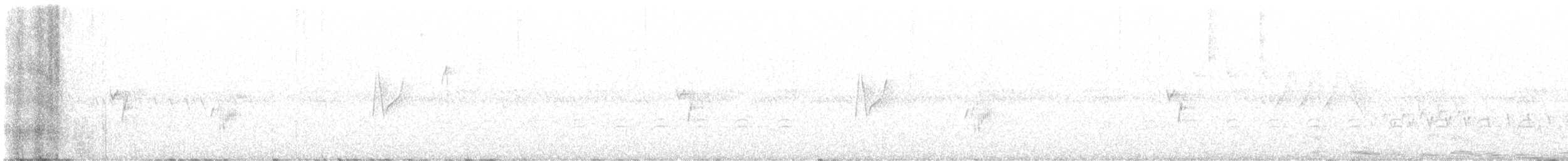 Moucherolle sombre - ML580844951