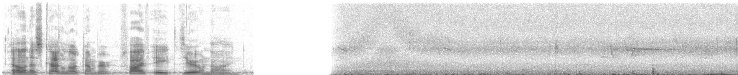 Fiji Woodswallow - ML5809