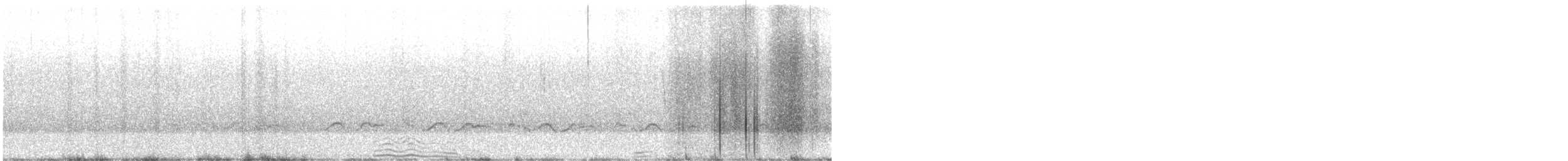 Schlammtreter (semipalmata) - ML580914371