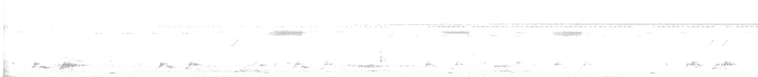 Carolinanachtschwalbe - ML580961191