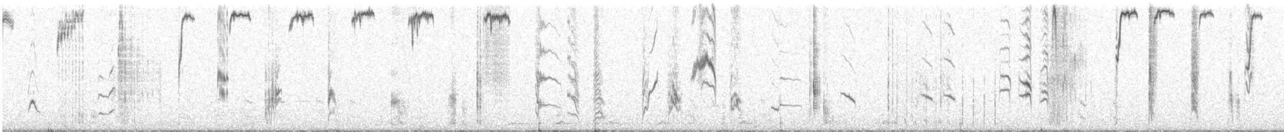 Capped Wheatear - ML580973501