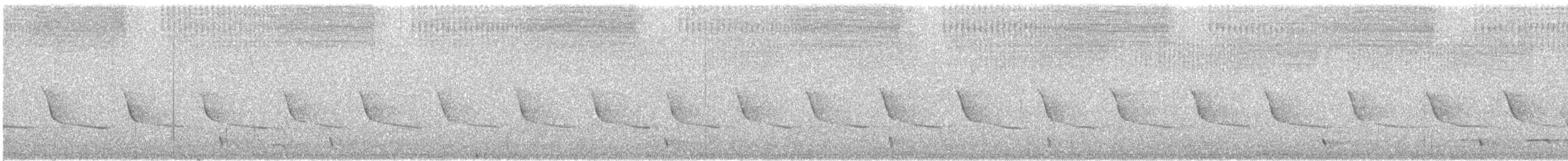 Spotted Quail-thrush - ML580983211