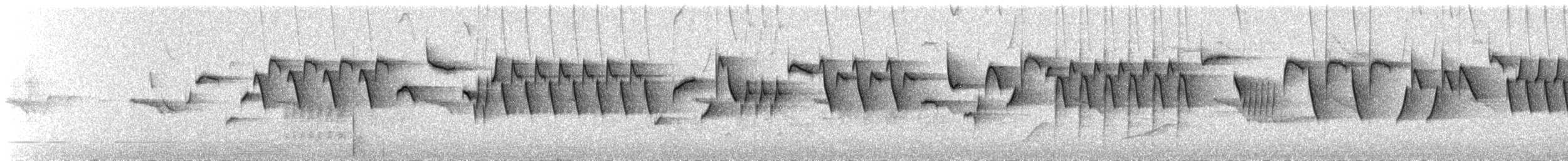 Халгайч урагчин - ML581016961