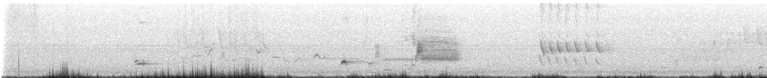 Ictérie polyglotte - ML581045571