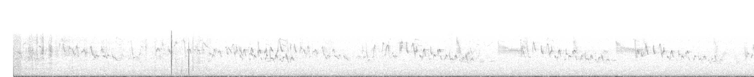 Куцохвостик капський - ML581050071