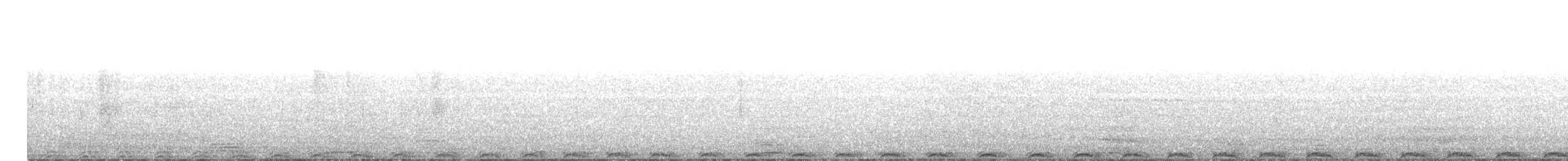 holub skvrnitý - ML581055481