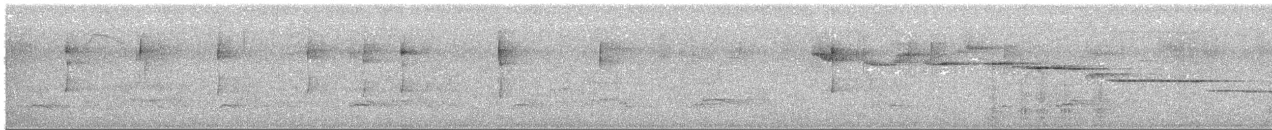 orel černobílý - ML581091211