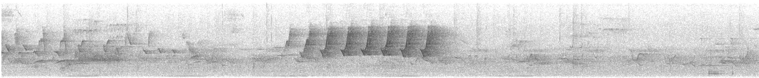 Protonoter Ötleğeni - ML581098711