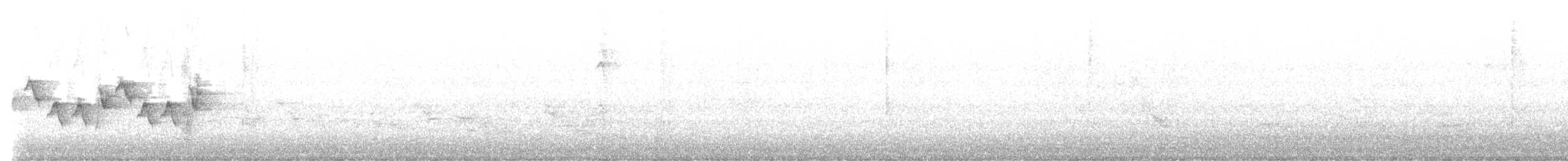 Common Yellowthroat - ML581105171