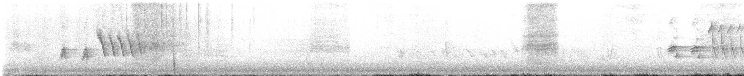 Широкохвостый колибри - ML581125661