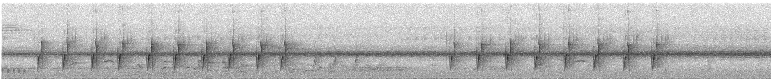 pěnicovec krátkoocasý [skupina brevicaudata] - ML581136011