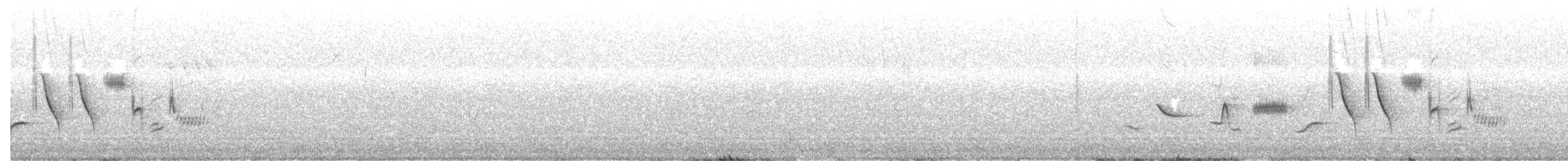 Пестрогрудая овсянка [группа schistacea] - ML581159181