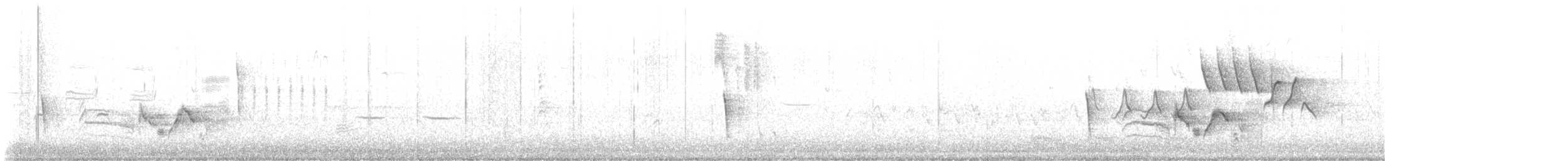 White-eyed Vireo - ML581174391