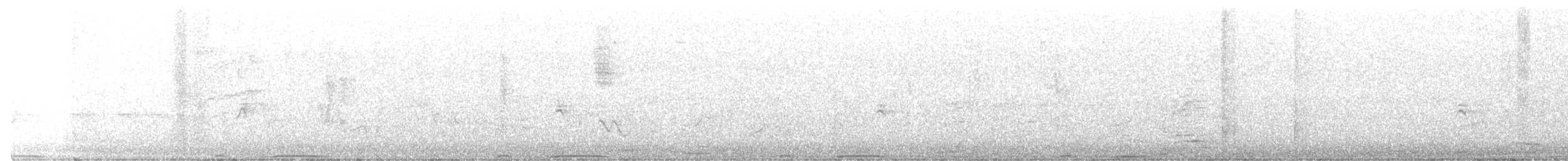 holub pruhoocasý - ML581175011