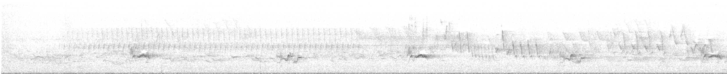 Viréo à gorge jaune - ML581176091