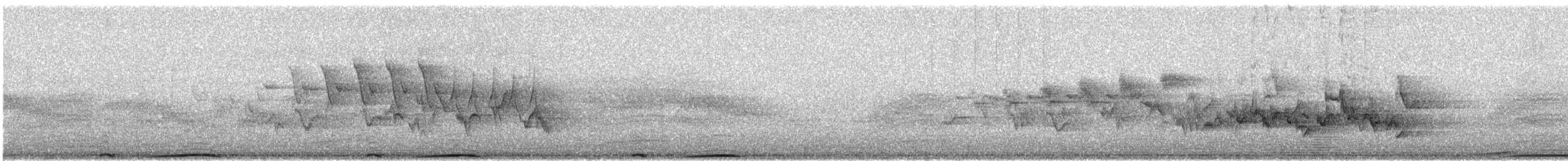 holub pruhoocasý - ML581178201