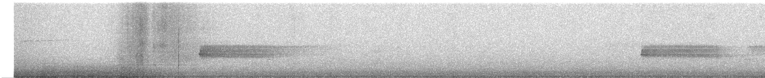 Тауї плямистий - ML581180861