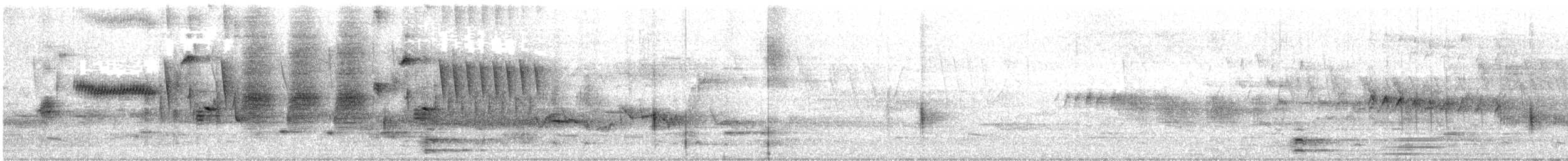 Song Sparrow - ML581189421
