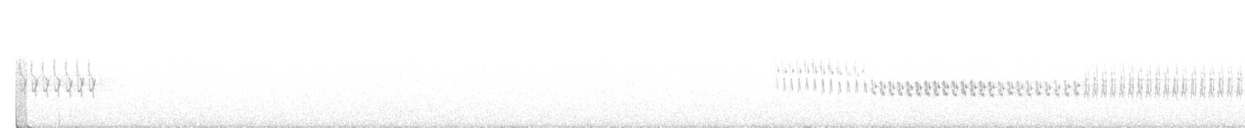 křivka bělokřídlá - ML581196561