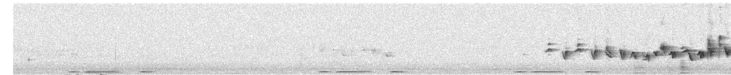 Eurasian Collared-Dove - ML581202651